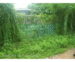 (CJV-00484) Thitaw Street Ahlon TSP တြင္ အက ်ိဳးတူေဆာက္ရန္ရိွပါသည္ ၊၊