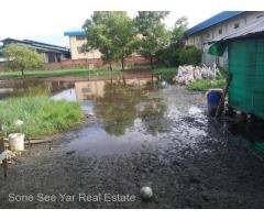 (SL 13-00689) , Malikha Street, Industrial Zone (5), Hlaingtharyar Township