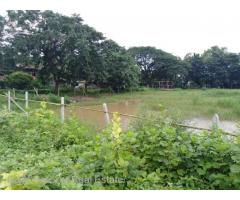 (SL 10-00761) Between Bo Htun  Lin And Ngu War Myaing , North Dagon Township