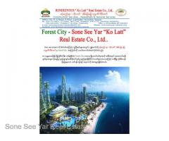 (SV 16-00814) , Between Malaysia and Singapore, Forest City