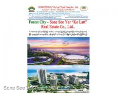 (SCH 16-00815) , Between Malaysia and Singapore, Forest City