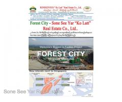 (SSDH 16-00817) , Between Malaysia and Singapore, Forest City