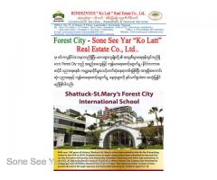 (SSDH 16-00817) , Between Malaysia and Singapore, Forest City