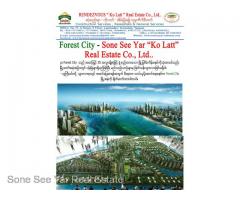 (SGV 16-00820) , Between Malaysia and Singapore, Forest City