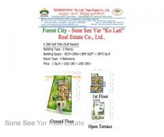 (SGV 16-00822) , Between Malaysia and Singapore, Forest City