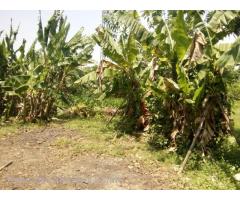 (RL 14-00828) , 7mile, Corner of Pyay Road and Inlay Yeik Thar Road, Mayangone Township