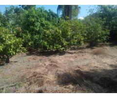 Sakawar Street (SL 5-001162) For Sale Land @ Mingalardon Tsp.