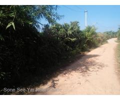 Japan Pagoda Road (SL 3-001163) For Sale Land @ Hmawbi Tsp.