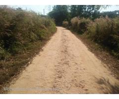 Japan Pagoda Road (SL 3-001164) For Sale Land @ Hmawbi Tsp.