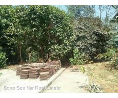 Pyay Road (SL 22-001191) Near Nissan Car Showroom, Kamaryut Tsp.