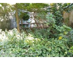 49th Street (SL 16-001226) For Sale Land @ Botahtaung Township