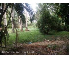 Dhammazedi Main Road , ( SL 20 - 001242) , For Sale Land @ Bahan Tsp.