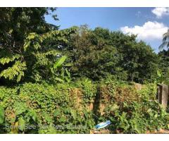 Near Pan Haywun Restaurant,(SL10-001368), For Sale Land in South Okkalapa Tsp.