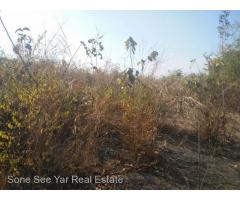 (SL3-001511), 156 မိုင္ 2ဖာလုံ၊ ရန္ကုန္-မႏၱေလးလမ္းမေပၚတြင္ 32ဧက ေျမကြက္ ေရာင္းရန္ရွိသည္။