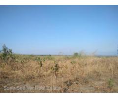 (SL3-001511), 156 မိုင္ 2ဖာလုံ၊ ရန္ကုန္-မႏၱေလးလမ္းမေပၚတြင္ 32ဧက ေျမကြက္ ေရာင္းရန္ရွိသည္။