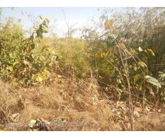 (SL3-001511), 156 မိုင္ 2ဖာလုံ၊ ရန္ကုန္-မႏၱေလးလမ္းမေပၚတြင္ 32ဧက ေျမကြက္ ေရာင္းရန္ရွိသည္။