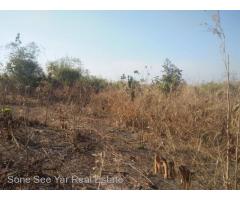 (SL3-001511), 156 မိုင္ 2ဖာလုံ၊ ရန္ကုန္-မႏၱေလးလမ္းမေပၚတြင္ 32ဧက ေျမကြက္ ေရာင္းရန္ရွိသည္။