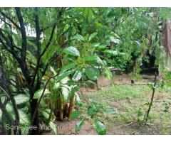 SL15-001564, Aye Thar Yar Road, For Sales Land ( ေျမကြက္) at Yankin Tsp