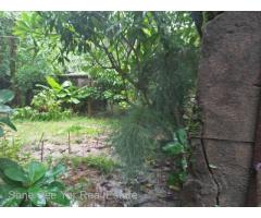 SL15-001564, Aye Thar Yar Road, For Sales Land ( ေျမကြက္) at Yankin Tsp