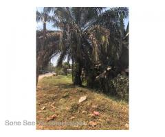 Pearl Lane Sone, (SHL4-001596) For Sales Hotel Land At Mingalardon Tsp