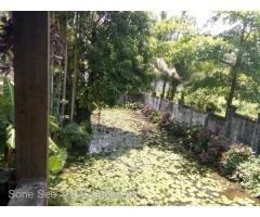 SL24-001894, For Sales Land, 7မိုင္၊ ျပည္လမ္းႏွင့္အင္းယားရိပ္သာလမ္း၊ ေျမကြက္ေရာင္းရန္ရွိပါသည္။
