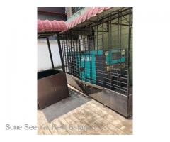 SC3-002763, ဆီစက္လမ္း၊ လွည္းတန္း ကမာရြတ္ၿမိဳ႕နယ္တြင္ (၇လႊာ) ကြန္ဒိုတိုက္ခန္း ေရာင္းရန္ရွိပါသည္။