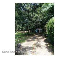 SH20-003042, For Sale Land, Nyar Htet Gyi Pagoda Road, Bahan Township