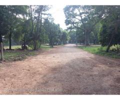 Sale Land Thanthumar Main Road , Front Thuwana Dental Colllege, Thingangyun TSW.