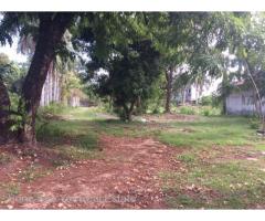Sale Land Thanthumar Main Road , Front Thuwana Dental Colllege, Thingangyun TSW.