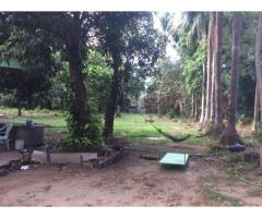 Sale Land Thanthumar Main Road , Front Thuwana Dental Colllege, Thingangyun TSW.