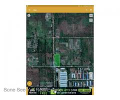 Sale Nyaunghnapin, Special Zone (1) of vegetable and fishery breeding farm, Hmawbi Township