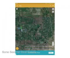 Sale Nyaunghnapin, Special Zone (1) of vegetable and fishery breeding farm, Hmawbi Township