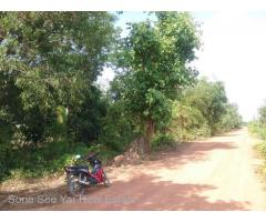 Sale Nyaunghnapin, Special Zone (1) of vegetable and fishery breeding farm, Hmawbi Township