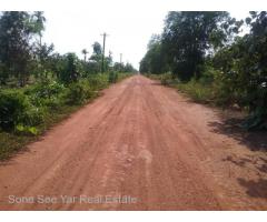 Sale Nyaunghnapin, Special Zone (1) of vegetable and fishery breeding farm, Hmawbi Township