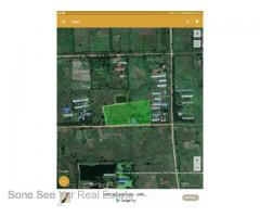 Sale Nyaunghnapin, Special Zone (1) of vegetable and fishery breeding farm, Hmawbi Township