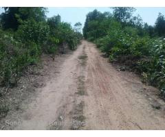 Sale Nyaunghnapin, Speical Zone (2) of vegetable and fishery breeding farm, Hmawbi Township