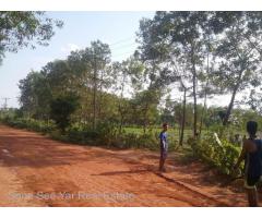 Nyaunghnapin, Special Zone (2) of vegetable and fishery breeding farm, Hmawbi Township