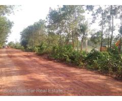 Nyaunghnapin, Special Zone (2) of vegetable and fishery breeding farm, Hmawbi Township