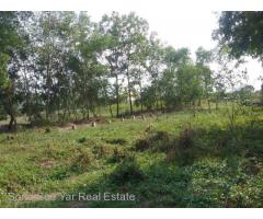 Nyaunghnapin, Special Zone (2) of vegetable and fishery breeding farm, Hmawbi Township