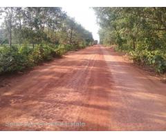 Nyaunghnapin, Special Zone (2) of vegetable and fishery breeding farm, Hmawbi Township