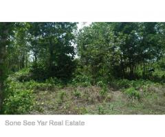 Sale Nyaunghnapin, Speical Zone (2) of vegetable and fishery breeding farm, Hlegu Township