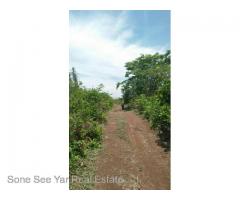 Sale Nyaunghnapin, Speical Zone (2) of vegetable and fishery breeding farm, Hlegu Township
