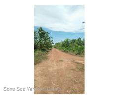 Sale Nyaunghnapin, Speical Zone (2) of vegetable and fishery breeding farm, Hlegu Township