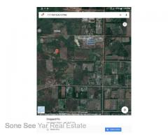 Sale Nyaunghnapin, Speical Zone (2) of vegetable and fishery breeding farm, Hlegu Township