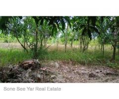 (SL 2-001068) ,ရန္ကုန္-မႏၱေလး အျမန္လမ္းမဂုတ္ကြက္၊ ၂၁ မိုင္ ၇ ဖာလံု