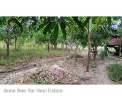 (SL 2-001068) ,ရန္ကုန္-မႏၱေလး အျမန္လမ္းမဂုတ္ကြက္၊ ၂၁ မိုင္ ၇ ဖာလံု