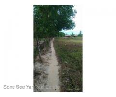 (SL 2-001068) ,ရန္ကုန္-မႏၱေလး အျမန္လမ္းမဂုတ္ကြက္၊ ၂၁ မိုင္ ၇ ဖာလံု