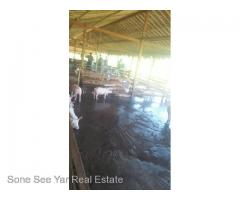 ရန္ကုန္မႏၲေလးအျမန္လမ္းမေမးတင္ မိုင္၄၀မိုင္၂ဖာလံု