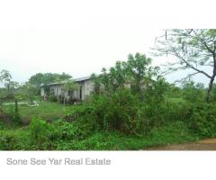 Sale land Nyaunghnapin Breeding Farm 10 Acre, Hlegu.