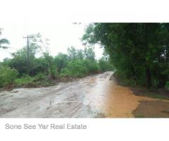 Sale land Nyaunghnapin Breeding Farm 10 Acre, Hlegu.